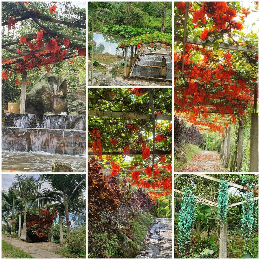 Finca Jardin Del Agua Сасайма Екстериор снимка