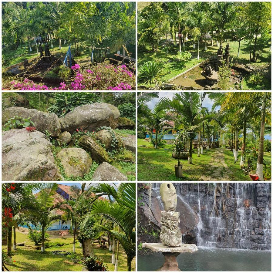 Finca Jardin Del Agua Сасайма Екстериор снимка