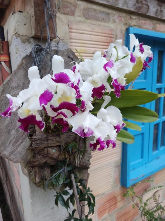 Finca Jardin Del Agua Сасайма Екстериор снимка