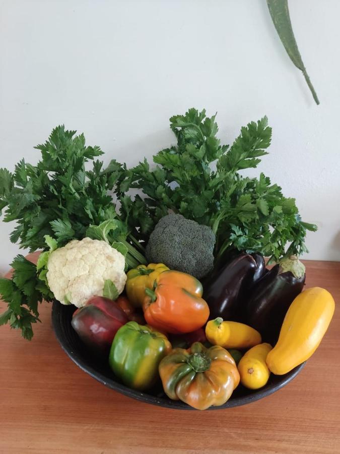 Finca Jardin Del Agua Сасайма Екстериор снимка