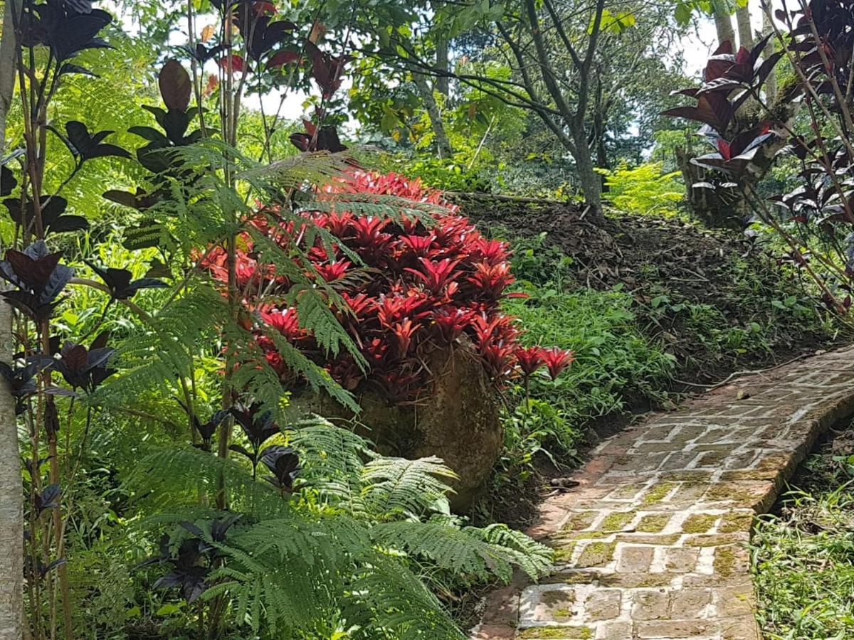 Finca Jardin Del Agua Сасайма Екстериор снимка