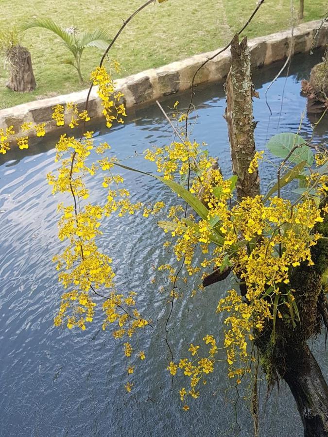 Finca Jardin Del Agua Сасайма Екстериор снимка
