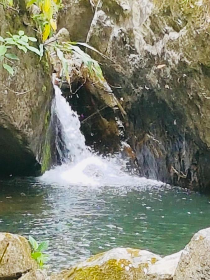 Finca Jardin Del Agua Сасайма Екстериор снимка