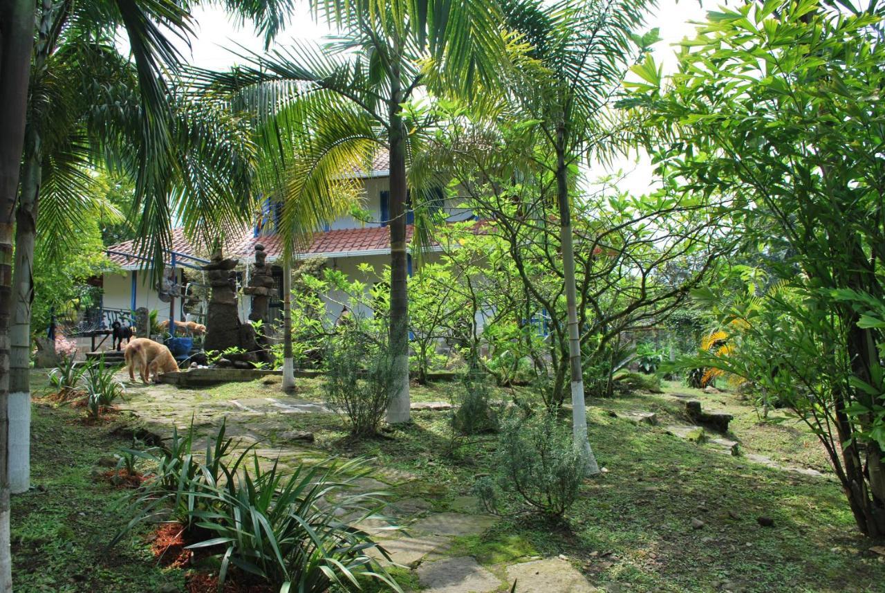 Finca Jardin Del Agua Сасайма Екстериор снимка