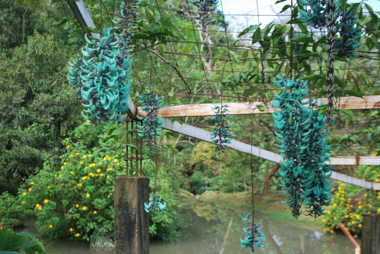 Finca Jardin Del Agua Сасайма Екстериор снимка