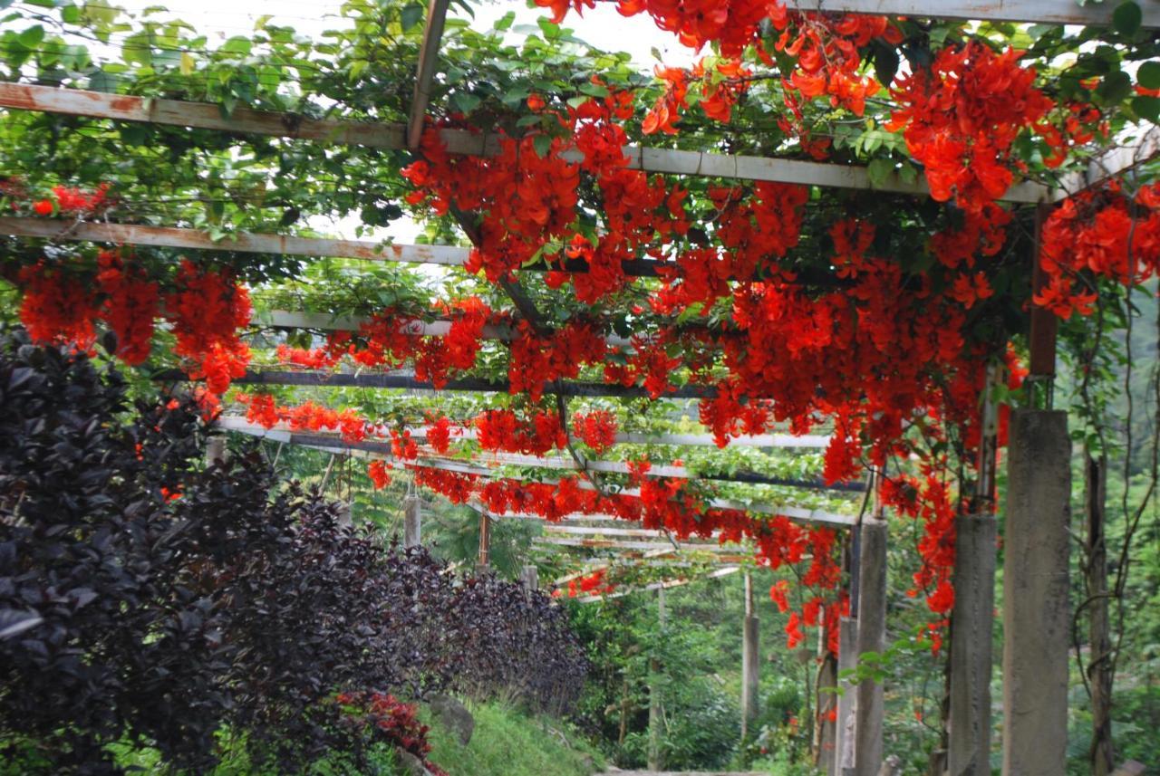 Finca Jardin Del Agua Сасайма Екстериор снимка