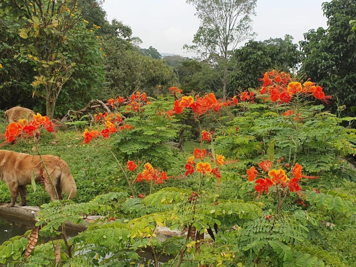 Finca Jardin Del Agua Сасайма Екстериор снимка